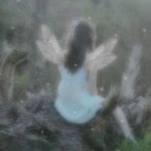 Meet your Posher, Venetzia